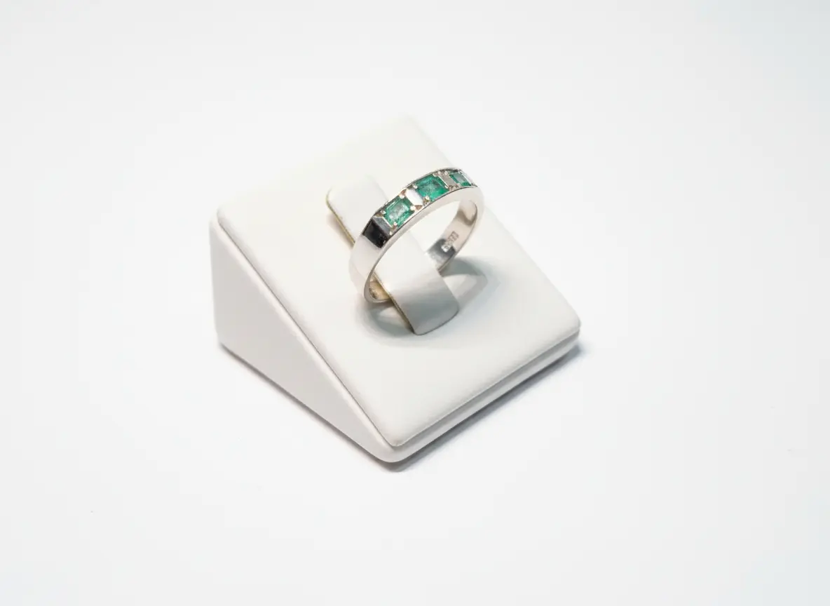 Anillo Catedral de Selva